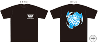 AjT}2010TVc (L)