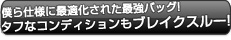 アニサマ2012 ロールボストンバッグ