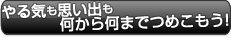 アニサマ2012 ボクサーバッグ