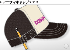 アニサマキャップ2012 内容紹介