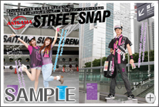 アニサマ2012 オフィシャルパンフレット