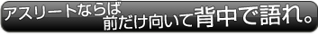 アニサマ2012 フードタオル サムライブルー 内容紹介