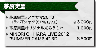 アニサマ2013 茅原実里 アーティストグッズ