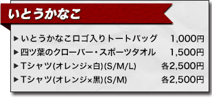 アニサマ2013 いとうかなこ アーティストグッズ