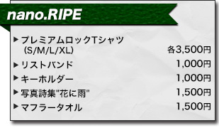 アニサマ2013 nano.RIPE アーティストグッズ
