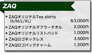 アニサマ2013 ZAQ アーティストグッズ