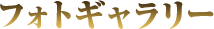 フォトギャラリー