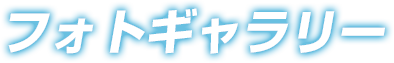 フォトギャラリー
