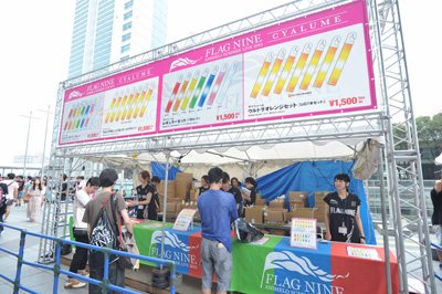 アニサマ2013振り返り